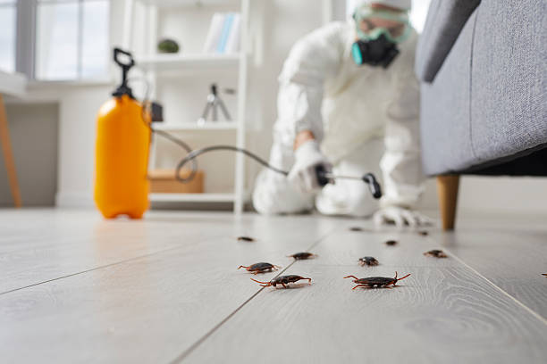 Commercial Rodent Management in Lebanon